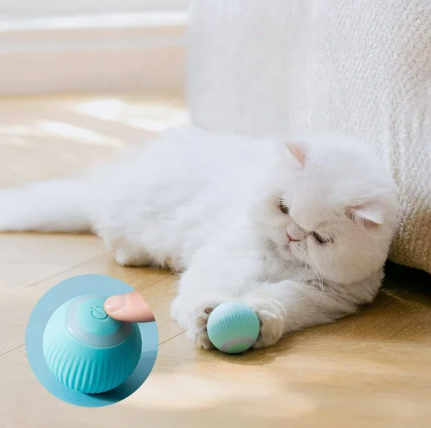 Automatic Smart Teasing Pet Ball, Smart Self Teasing Rolling Pet Ball — product image 4